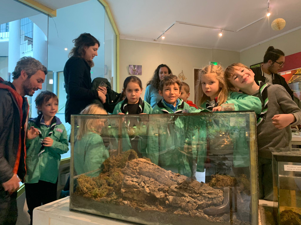 nimble_asset_IMG-20241124-WA0012