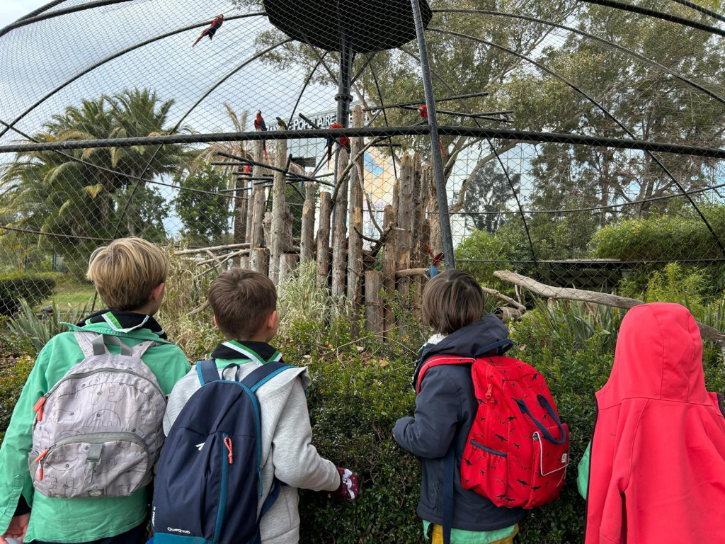 nimble_asset_IMG-20250119-WA0071