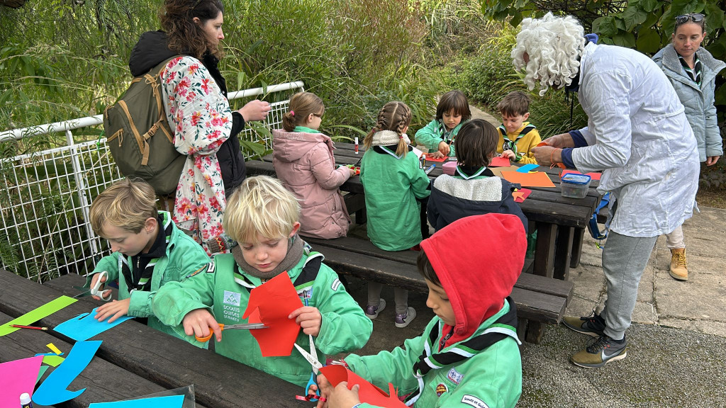 nimble_asset_WhatsApp-Image-2025-01-19-a-11.55.21_40a18ae1